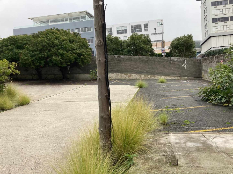 To Let commercial Property for Rent in Cape Town City Centre Western Cape